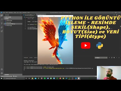 Python OpenCV ile Görüntü İşleme -  Resimde Şekil (Shape), Boyut (Size) ve Veri Tipi (dtype)