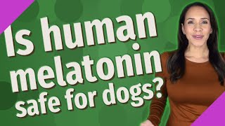 Is human melatonin safe for dogs?