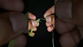 cara pasang soft lure ke kail - how to attach soft lure to hook screenshot 1