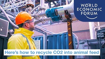 Recycling CO2 and hydrogen into animal feed | UpLink