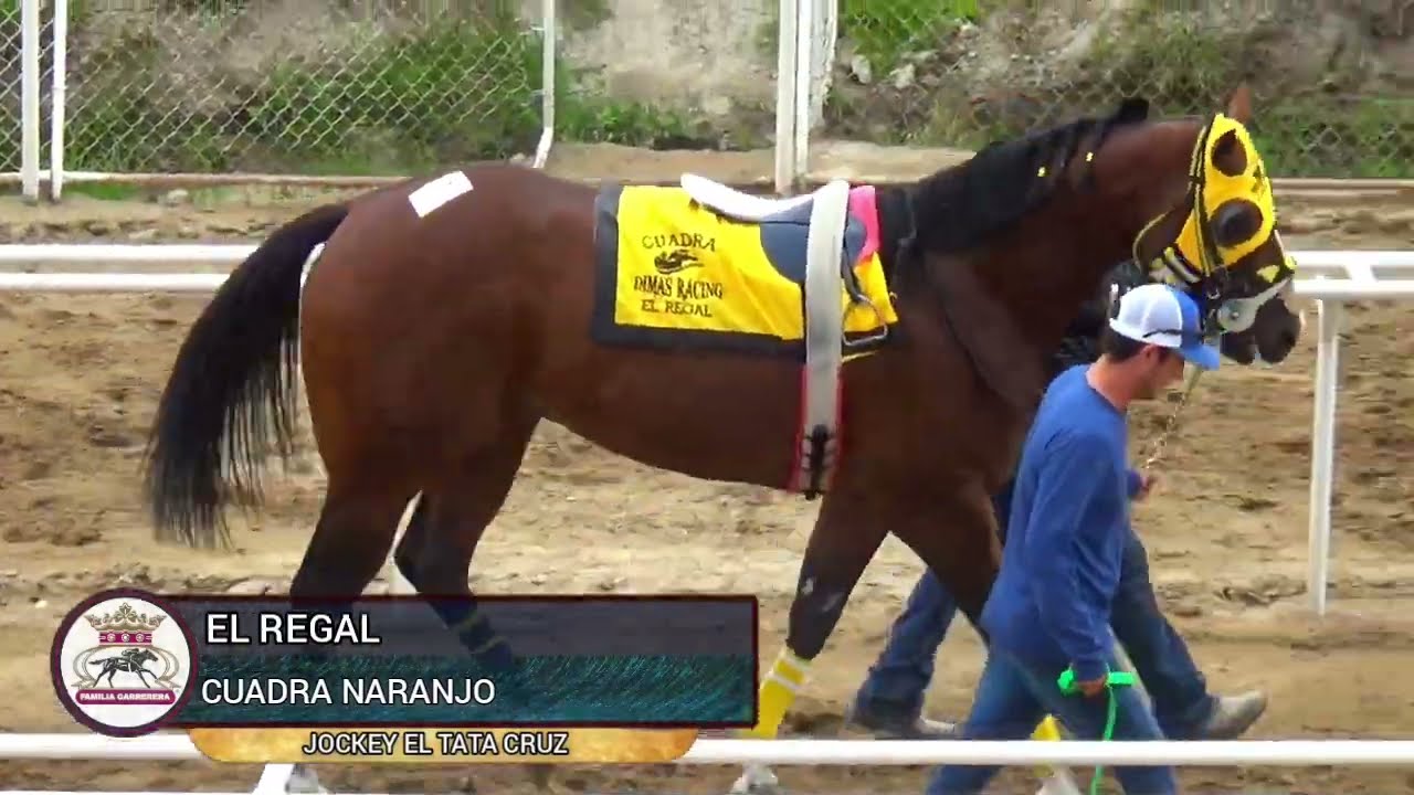 El Brujo Cuadra Carrujo vs El Regal Cuadra Naranjo vs El Presidente Cuadra Viejito 350 V.T.P