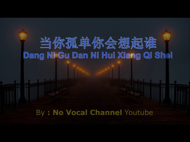 Dang Ni Gu Dan Ni Hui Xiang Qi Shei ( 当你孤单你会想起谁 ) HD Karaoke Mandarin - No Vocal class=