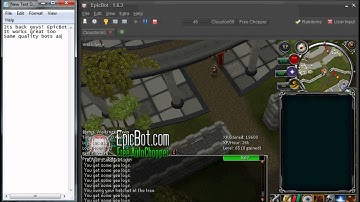 EpicBot Works After Nuke!