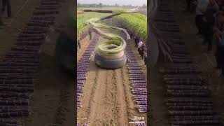 Lprice 149Sale Shop Sale Market