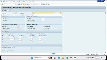 BATCH 09 SAP S4 HANA FICO Regular Session 52 APP: 04 Automatic Payment Program 03 (FBZP/F110)