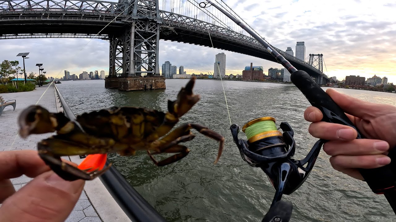 Manhattan Blackfish East River Fishing NYC