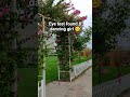 Eye Test Found 8 Dancing Girl Viralvideo Eye Test Found 8 Dancing Girl Viralvideo