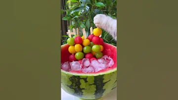 Meow Super Huge Watermelon Sago Dessert ASMR Summer Drinks Cat Cooking TikTok Shorts 