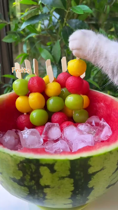Meow~Super Huge Watermelon Sago Dessert!🍉🍡|ASMR Summer Drinks | Cat Cooking-TikTok #Shorts