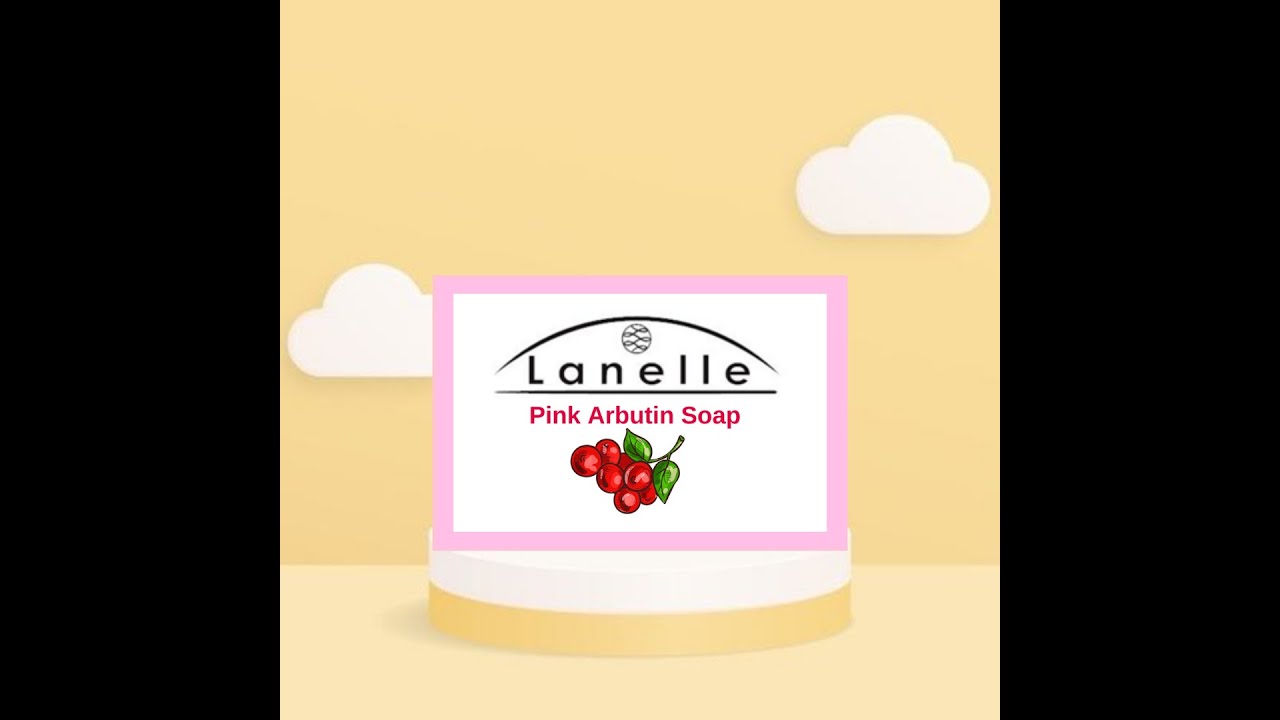 Lanelle Pink Arbutin Soap Lightens Dark Spots; Smoother, More Radiant Skin Lanelle Milanie Torralba