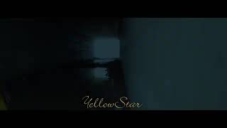 Yellow Star - Chao ✨( ft New star)