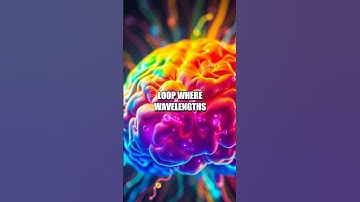 Curiosity Loops The Quantum Circle of Questions