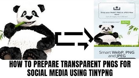 How to prepare transparent PNGs for Social Media using TinyPNG