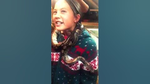 Python around the neck - my very brave kids