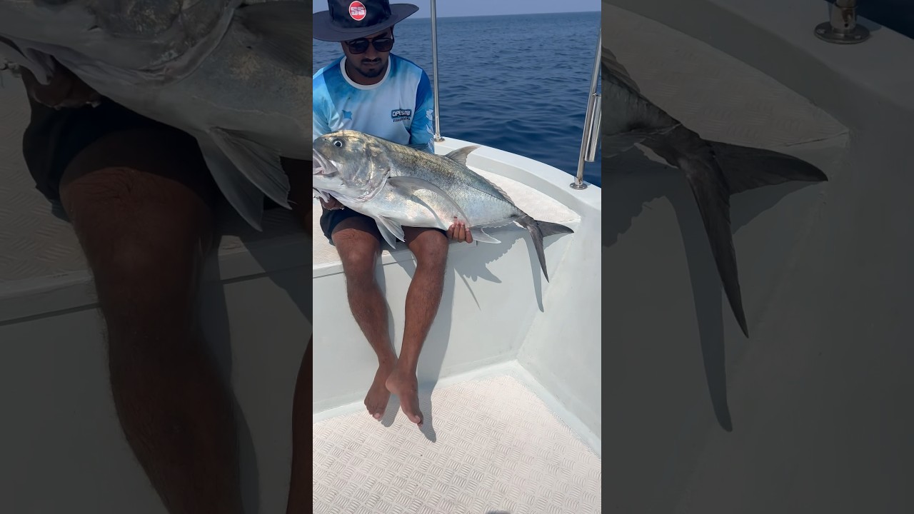 Monster Size🐟 GT on jigging | Deep Sea water | #andaman #fishing #gt #monsterfish #shorts  #Shimano