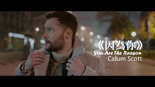 Calum Scott - You Are The Reason 因為你 (中文字幕MV) Resimi