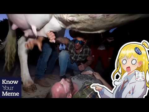 Are Vitaly’s Shocking Predator Challenges Justice or Torture?