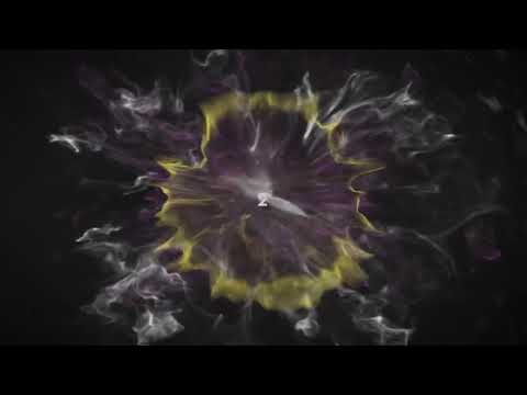 MARANI HALL 2019 / მარანი ჰოლი 2019