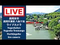 2026/04/15 【LIVE CAMERA】#長岡京市 #長岡天満宮八条ケ池 #ライブカメラ #livecamera #nagaokakyo