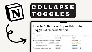 How To Collapse Or Expand Multiple Toggles At Once In Notion Notion Tutorial 2025