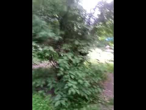 Гамуму 1 часть - YouTube