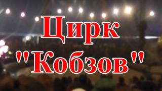 Невероятное шоу в цирке Кобзов 2017, Новогоднее выступление,животные(Елисей недавно посетил первый раз цирк Кобзов в Киеве возле ТРЦ Sky Mall. Невероятная шоу программа, неожиданны..., 2017-01-10T22:12:49.000Z)