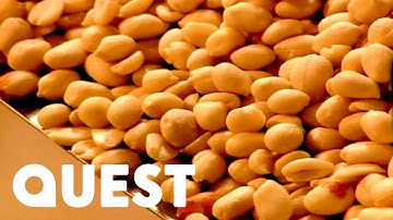 Nuts | How It