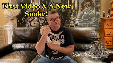 Debut Video - Introduction & Unboxing of Enchi Freeway Ball Python From Mutation Creation