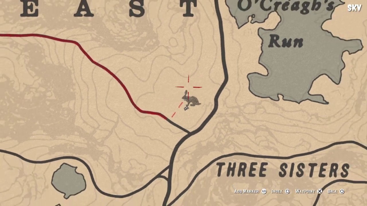 Red Dead Redemption 2 Saves A Stranger From Being Attacked By A