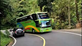 story wa bus gunung harta solution 🤟terbaru 🏁🏁