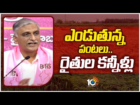 Harish Rao Slams Congress Govt | ఎండుతున్న పంటలు..రైతుల కన్నీళ్లు | 10TV - 10TVNEWSTELUGU