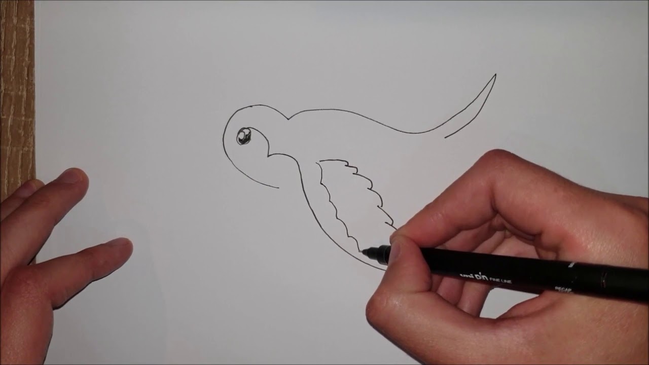 Kako nacrtati Lastu za 2 minuta/How to draw a cartoon Swallow bird in ...