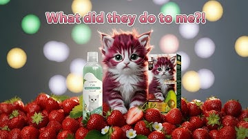 “What Did They Do To Me?! (Strawberry Cat Story)”