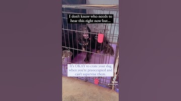 It’s OKAY to crate your dog! Especially if you’re unable to supervise them. They’ll be fine!