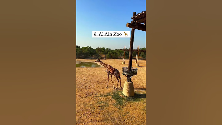 Top 14 Places to Visit in Abu Dhabi #abudhabi