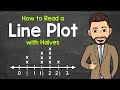 Line Plot Analysis and Interpretation