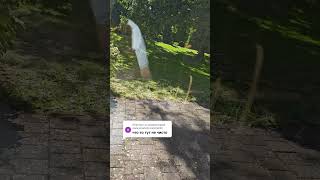 Купить дом недорого в Германии, спасибо за подписку ❤️