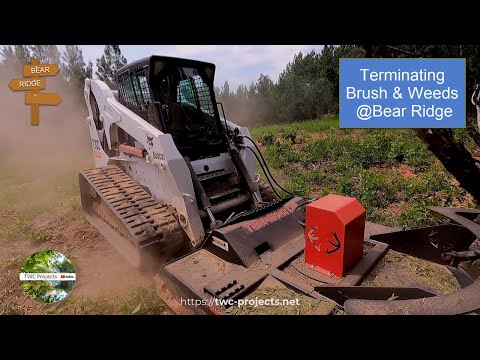 205-Terminating Brush & Weeds at Bear Ridge