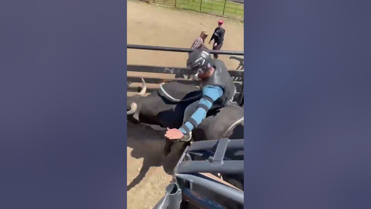 Pyle Bucking Bull Sale 2023 Bruise Tested YouTube