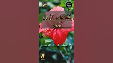 وَالأَرْضَ مَدَدْنَاهَا وَأَلْقَيْنَا فِيهَا رَوَاسِيَ - سورة الحجر - عبد الباسط عبد الصمد