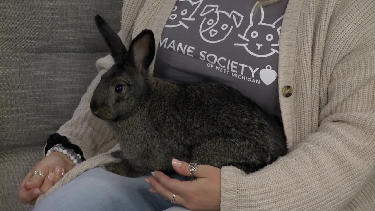 Friday's Friend Mopsy YouTube