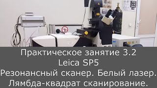 картинка: Оптическая микроскопия. Практика 3.2.