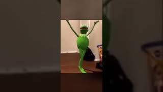 KERMIT THE FROG DANCING TO NARCOS THEME SONG