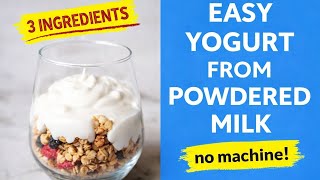 Homemade Yogurt From Powdered milk (No machine) 3 Ingredients| Make Yoghurt with Milk Powder Nigeria