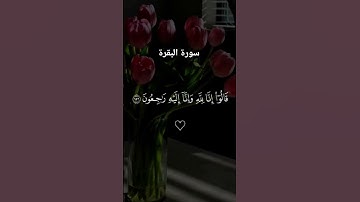 #فارس_عباد #سورة_البقرة #لايك #اكسبلور #قرآن #راحة_نفسية