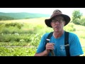 Joel Salatin | Why I Take Part | TakePart