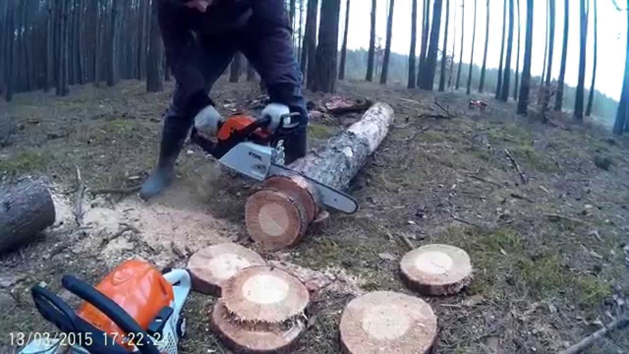 Stihl MS 231. Моя бензопила уже идет тебя песня