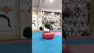 back flip on yoga ball