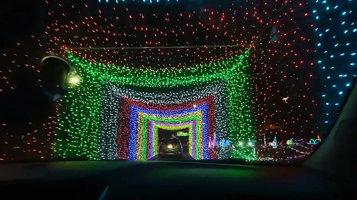 Neighborhood Christmas lights