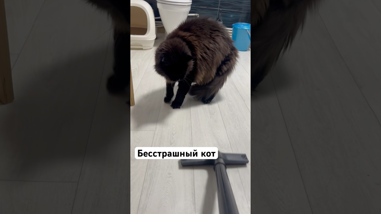 Что как у вас по пылесосам?